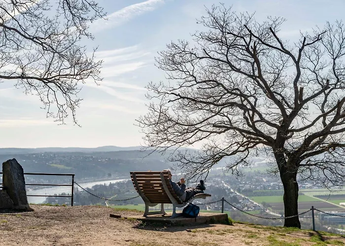 Studio-Loft Siebengebirge Westerwald