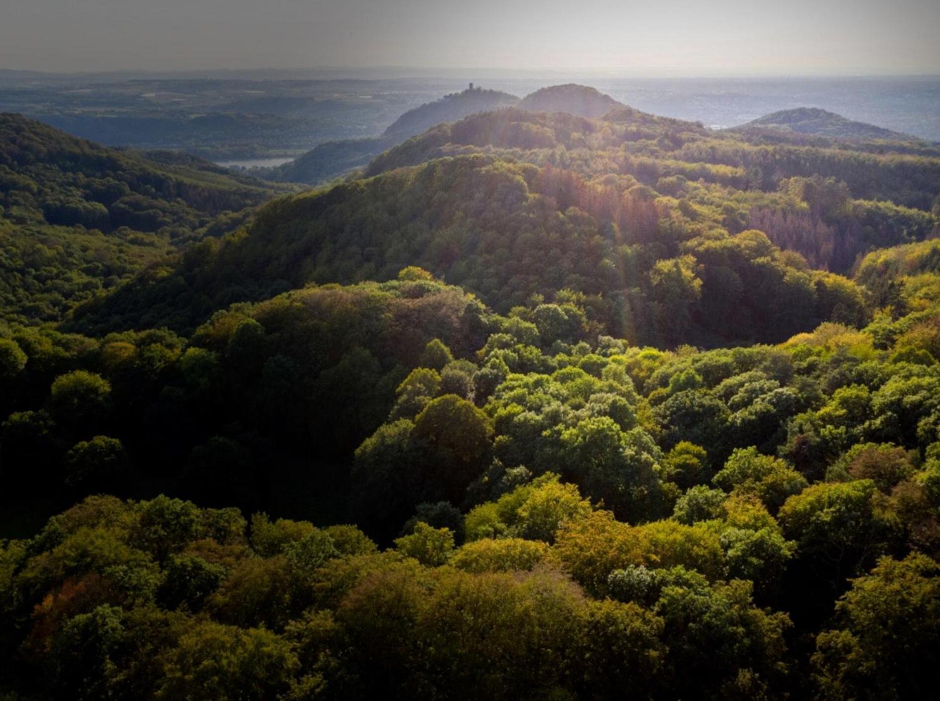 Studio-loft Siebengebirge Westerwald *